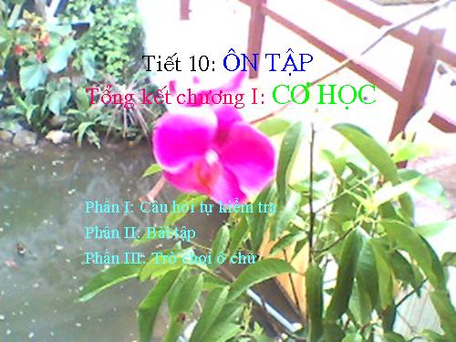 Bài 18. Câu hỏi và bài tập tổng kết chương I: Cơ học