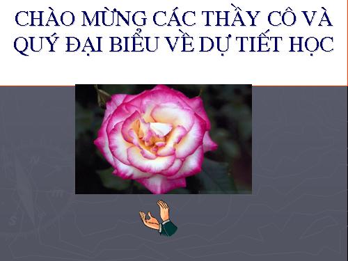 Bài 19. Các chất được cấu tạo như thế nào?