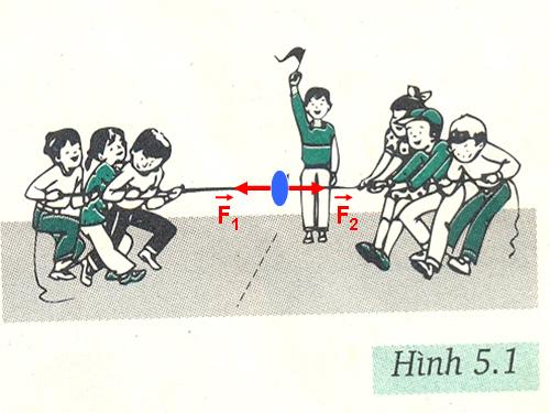 Bài 5. Sự cân bằng lực - Quán tính