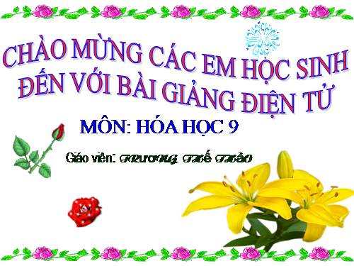 Ôn tập đầu năm