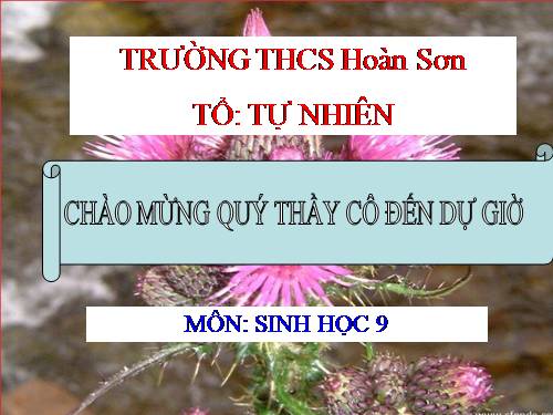 Bài 50. Hệ sinh thái