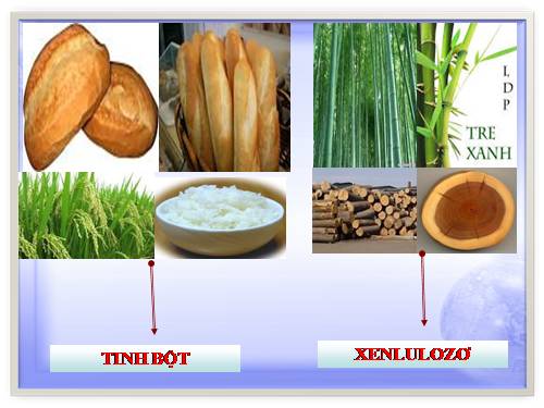 Bài 52. Tinh bột và xenlulozơ