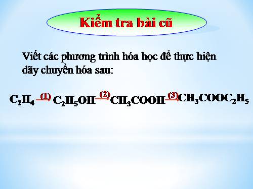 Bài 47. Chất béo