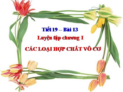 Bài 13. Luyện tập chương 1: Các loại hợp chất vô cơ