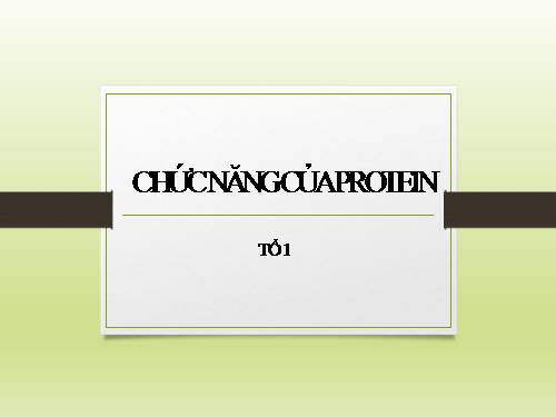 chuc nang cua protein