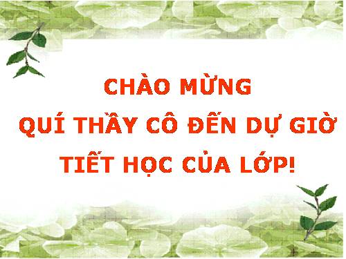 Bài 47. Chất béo