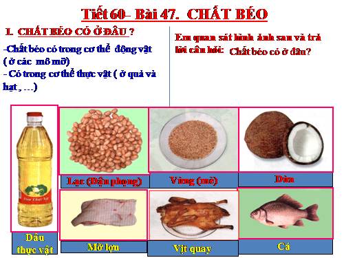 Bài 47. Chất béo