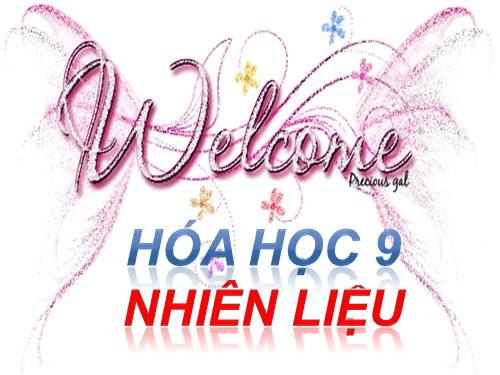 Bài 41. Nhiên liệu