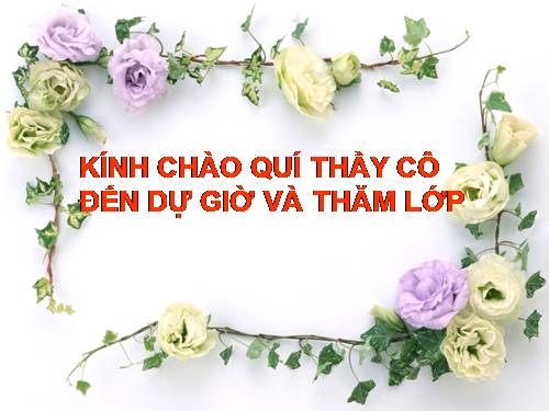 Bài 19. Sắt