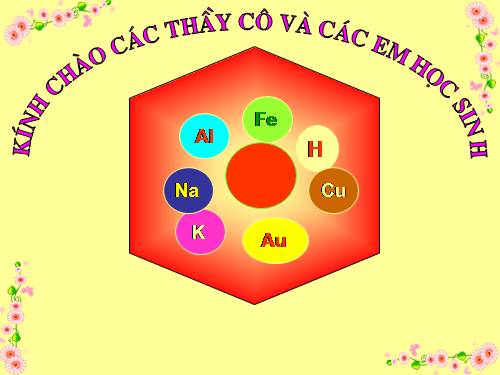 Bài 23. Thực hành: Tính chất hoá học của nhôm và sắt