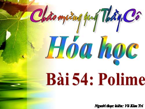 Bài 54. Polime