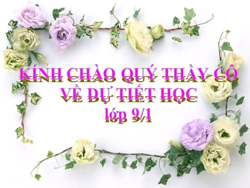 Bài 19. Sắt