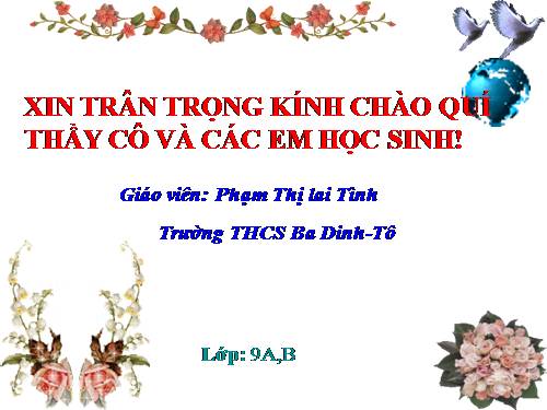 Bài 19. Sắt