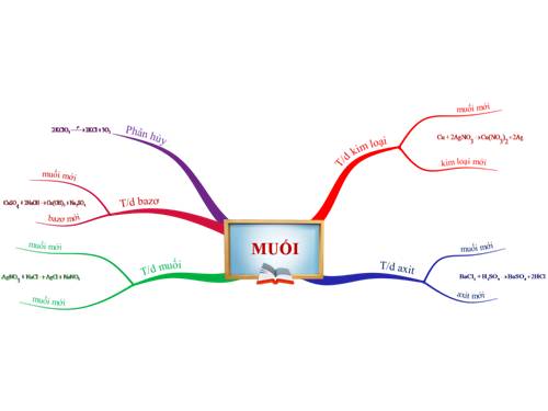 Bài 9. Tính chất hoá học của muối