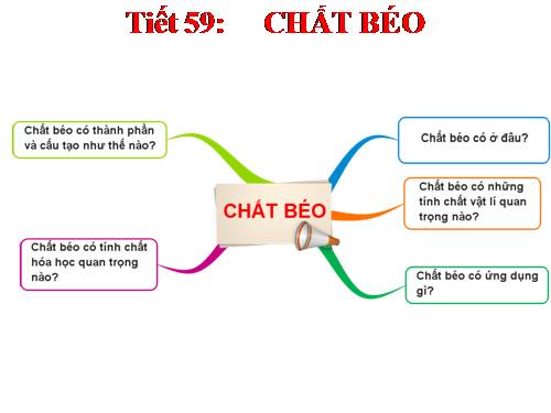 Bài 47. Chất béo