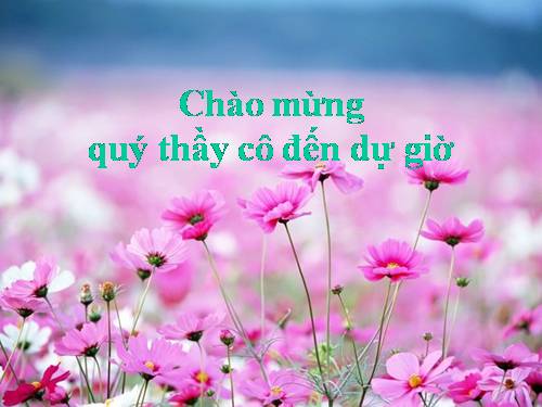 Bài 47. Chất béo