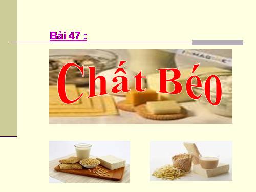 Bài 47. Chất béo