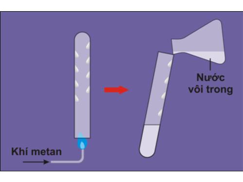 Bài 56. Ôn tập cuối năm