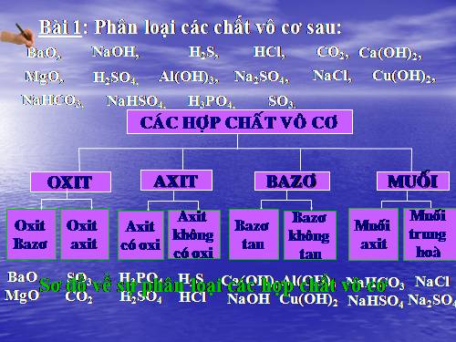 Bài 13. Luyện tập chương 1: Các loại hợp chất vô cơ