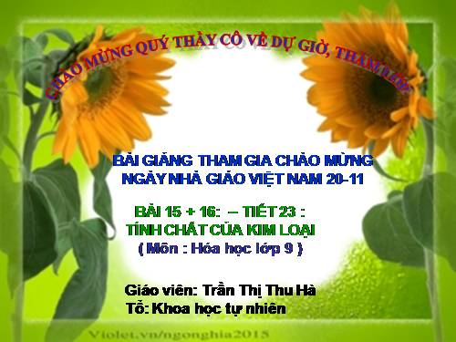 Bài 16. Tính chất hoá học của kim loại