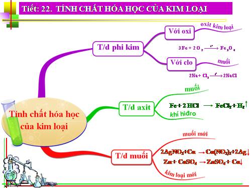 Bài 16. Tính chất hoá học của kim loại