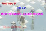 Bài 10. Một số muối quan trọng