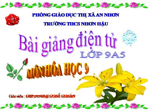 Bài 56. Ôn tập cuối năm