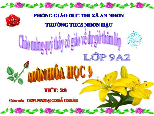 Bài 17. Dãy hoạt động hoá học của kim loại