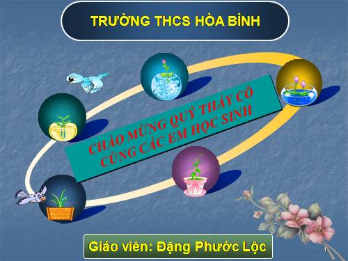 Bài 32. Luyện tập chương 3: Phi kim. Sơ lược về bảng tuần hoàn các nguyên tố hoá học