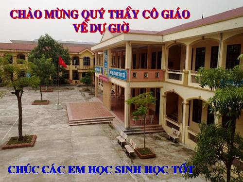 Bài 8. Một số bazơ quan trọng