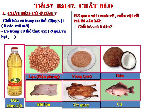 Bài 47. Chất béo