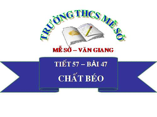 Bài 47. Chất béo