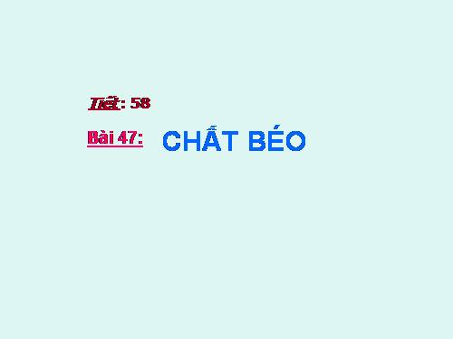 Bài 47. Chất béo