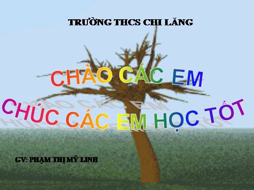 Bài 13. Luyện tập chương 1: Các loại hợp chất vô cơ