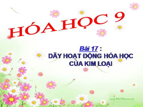 Bài 17. Dãy hoạt động hoá học của kim loại