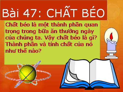 Bài 47. Chất béo