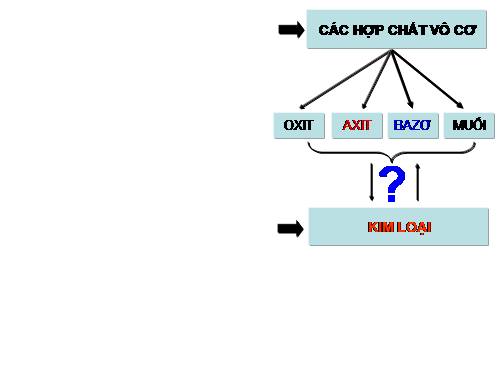 Bài 24. Ôn tập học kì 1