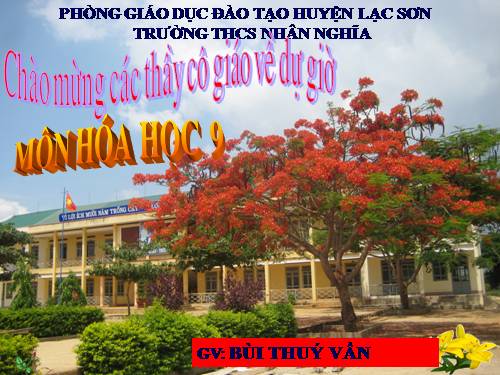 Bài 17. Dãy hoạt động hoá học của kim loại