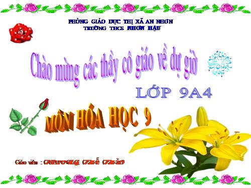 Bài 13. Luyện tập chương 1: Các loại hợp chất vô cơ