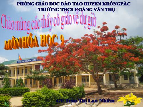 Bài 17. Dãy hoạt động hoá học của kim loại