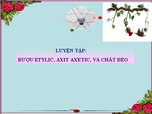 Bài 48. Luyện tập: Rượu etylic, axit axetic và chất béo