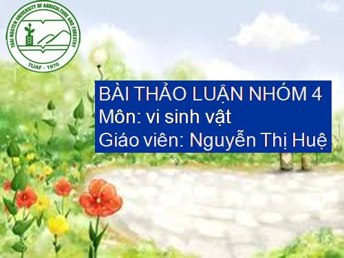 vi sinh vật trong xử lí rác thải