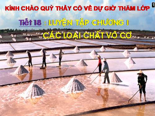 Bài 13. Luyện tập chương 1: Các loại hợp chất vô cơ