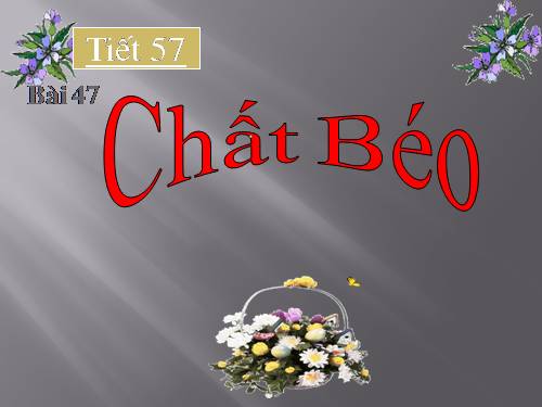 Bài 47. Chất béo