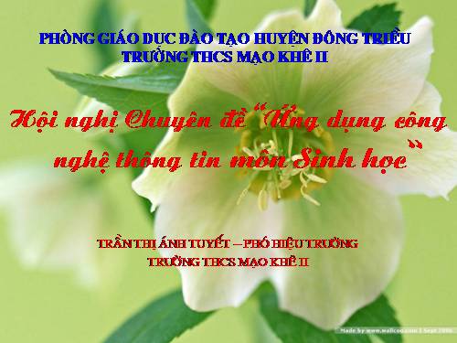 CHYEN DE NANG CAO CHAT LUONG BAI GIANG GADT