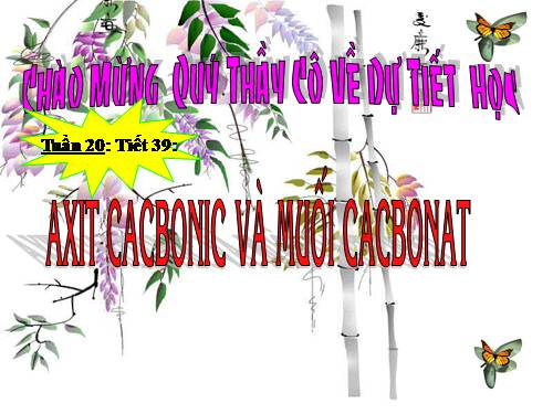 Bài 29. Axit cacbonic và muối cacbonat