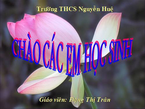 Bài 17. Dãy hoạt động hoá học của kim loại