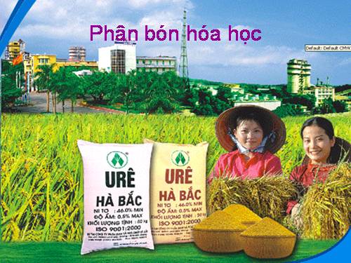 Bài 11. Phân bón hoá hoc