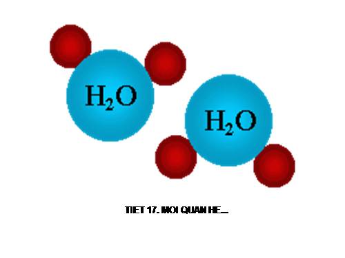 Bài 12. Mối quan hệ giữa các loại hợp chất vô cơ