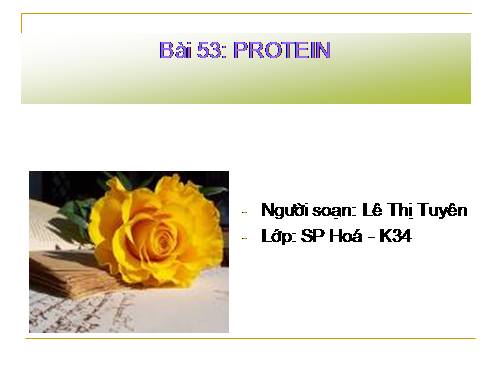 Bài 53. Protein